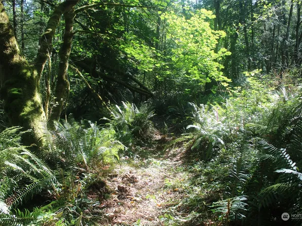 150 xx 115th Avenue SW, Vashon, WA 98070