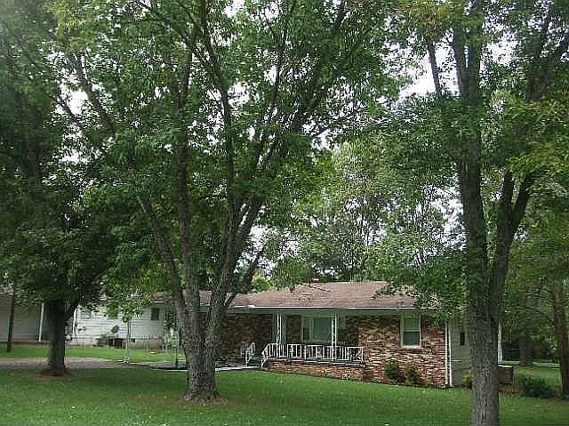 Shade Trees