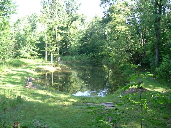 view of Pond from Deck