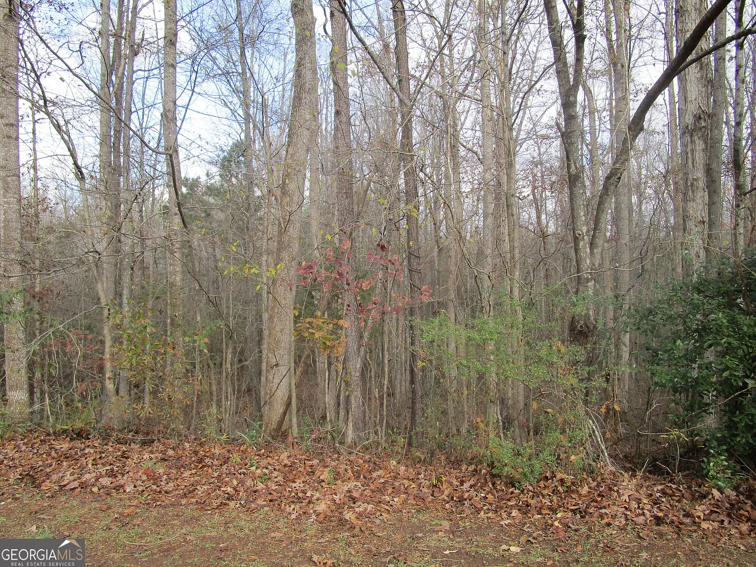 135 Four Oaks Dr photo 1