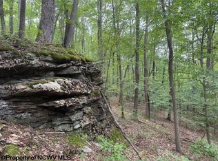 Simpson Rd, Belington, WV 26250