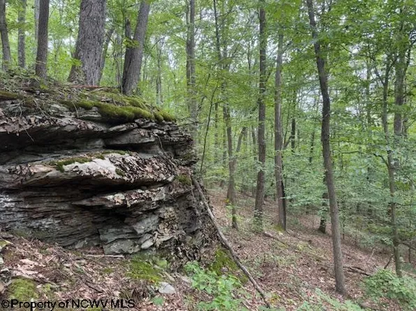 Simpson Rd, Belington, WV 26250