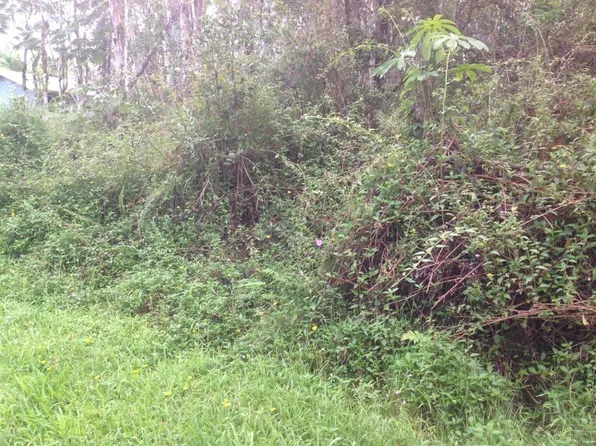 Lehua Rd Lot 184, Pahoa, HI 96778