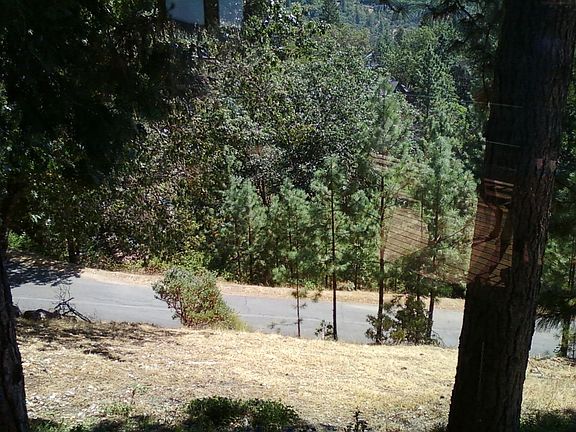 view out dining room window