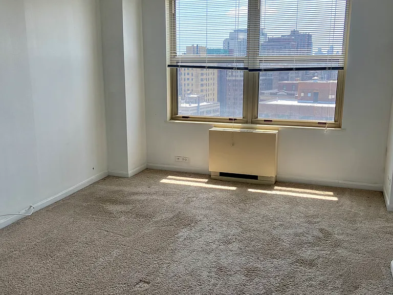 525 W Hawthorne Pl #2103 — Photo 11