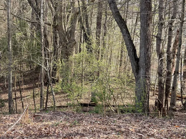 Charles St Lot 5, Clintwood, VA 24228