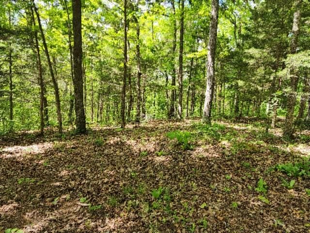 1st image of Forest Trl