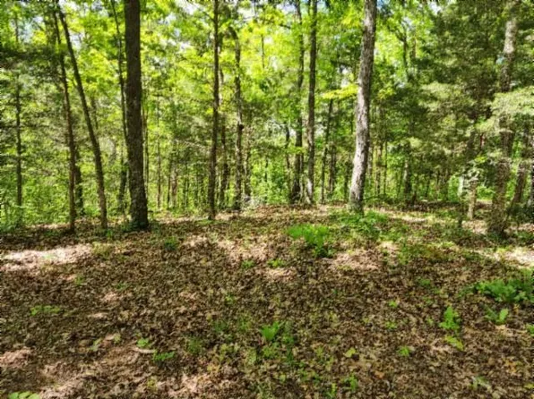 Forest Trl, Celina, TN 38551