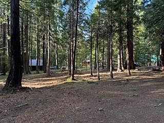 2nd image of 216 Mewko Way