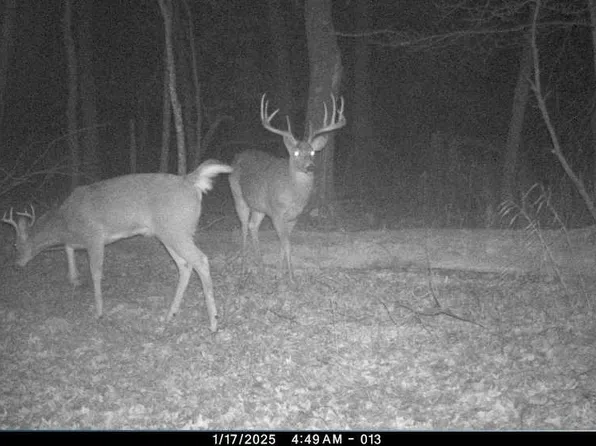N8510 Fish Rd, New Lisbon, WI 53950