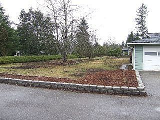 Frontyard