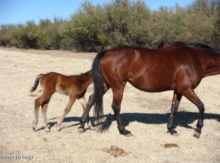 6310 N Cascabel Rd, Benson, AZ 85602