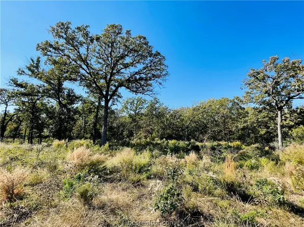 County Road 4263, Marquez, TX 77865