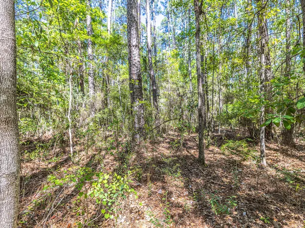 191 Mallet Rd, Freeport, FL 32439