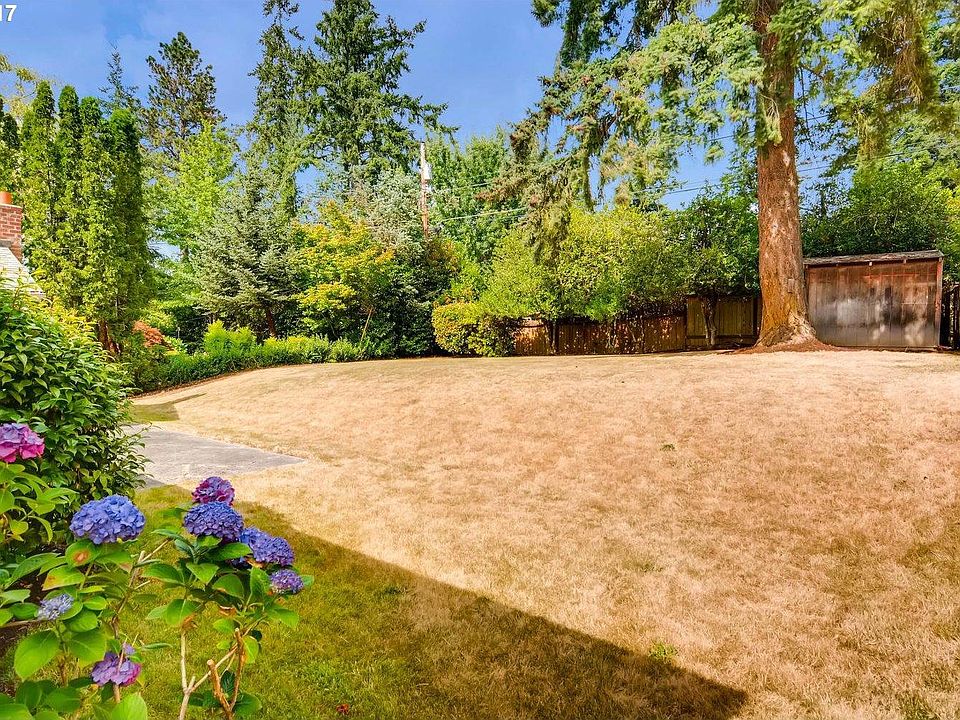 Spacious and private back yard