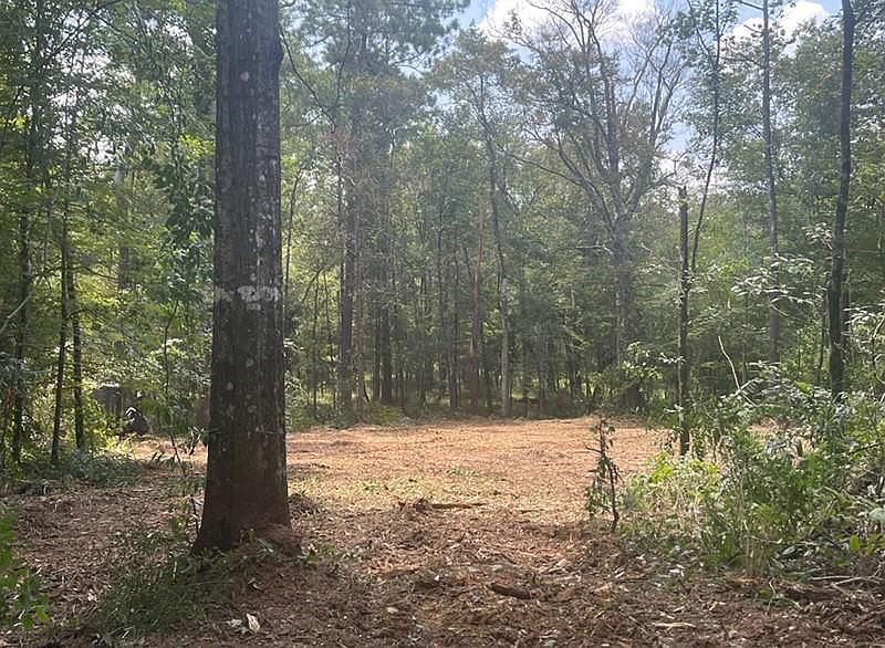 2nd image of 87474 Vineyard Rd