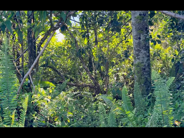 15-1568 18th Ave Lot 346, Keaau, HI 96749