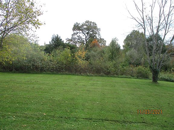 Large flat backyard