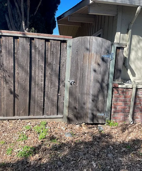 3121 Alma St — Photo 28