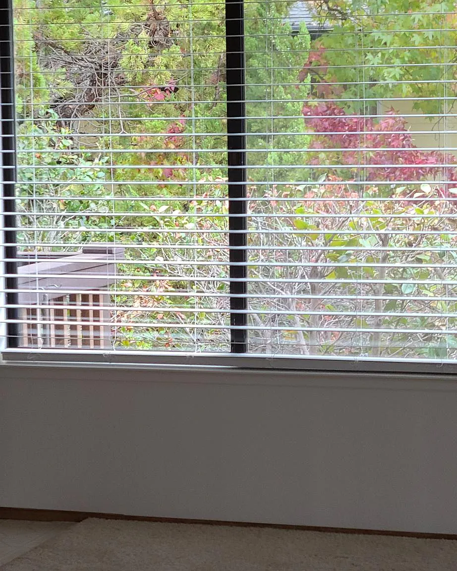 3 bed, 1500 sqft, $2,750 — Photo 4