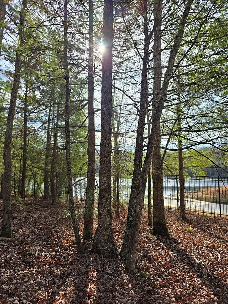 263 Lakeside Dr photo 1