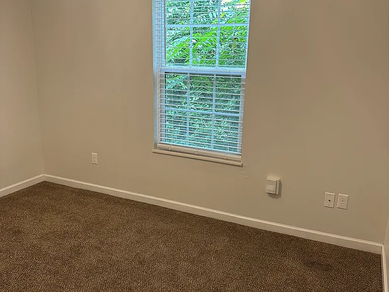 131 Lucy Ln — Photo 8