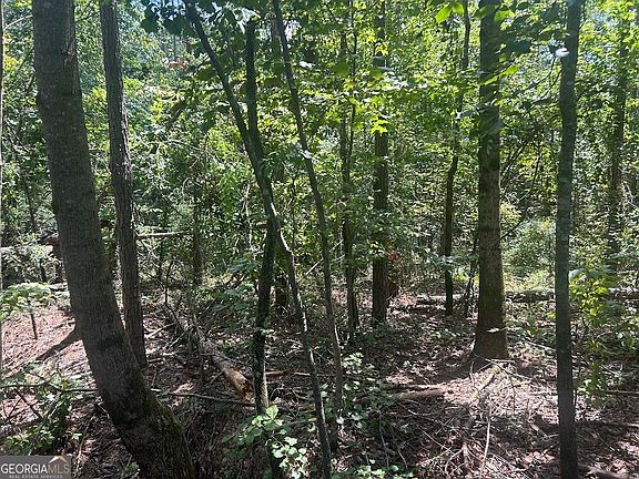 4th image of 111 Riversong Tract 26