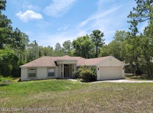 13178 Velvet Scoter Ave, Weeki Wachee, FL 34614