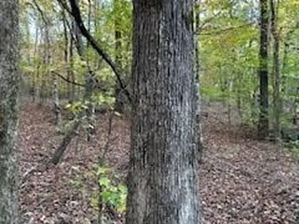 TRACT 2nd Highway 9w Cres #369, Oxford, MS 38655