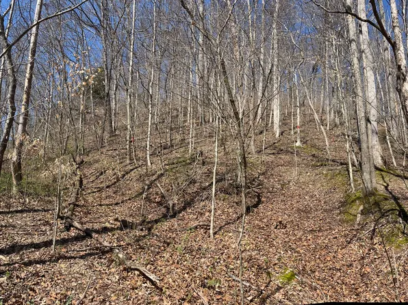 0 Neat Rd, Columbia, KY 42728