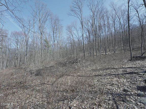 5th image of W Mountain Rd