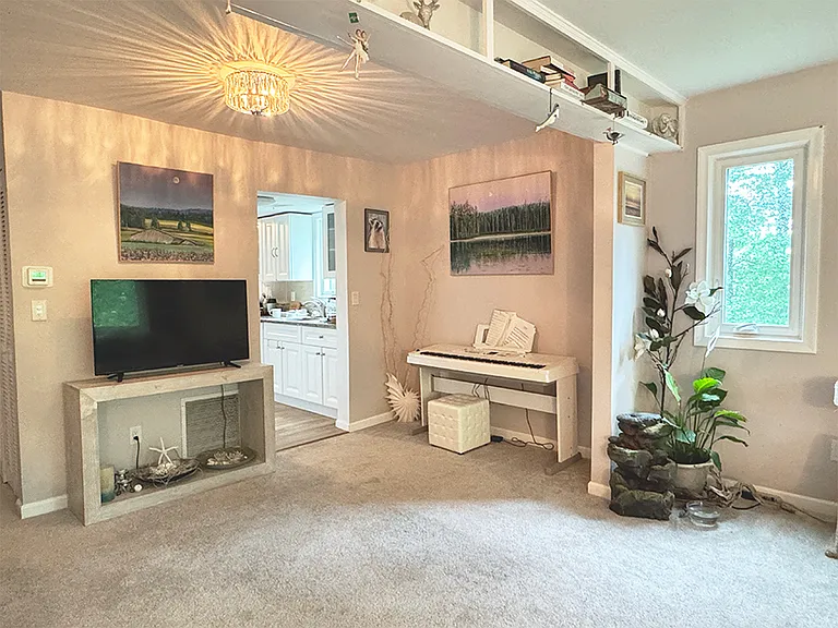 149 Knapps Hwy #149 — Photo 8