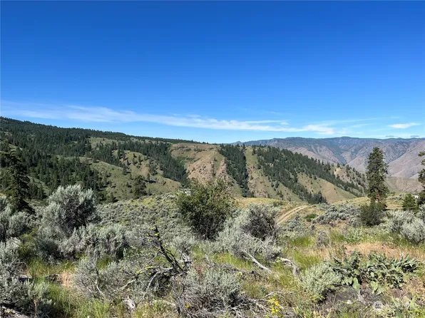 66 Coyote Lane, Waterville, WA 98843