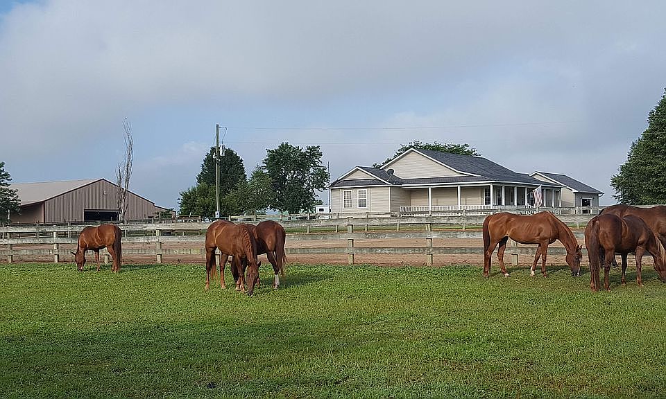 House & Barn from NE