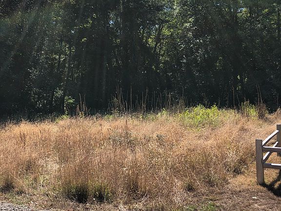 Street view to the South