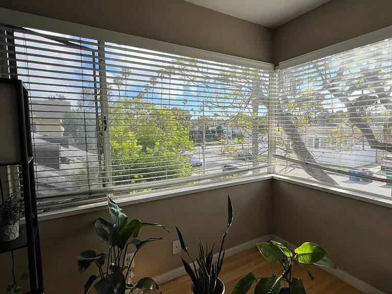 204 Termino Ave #B — Photo 6