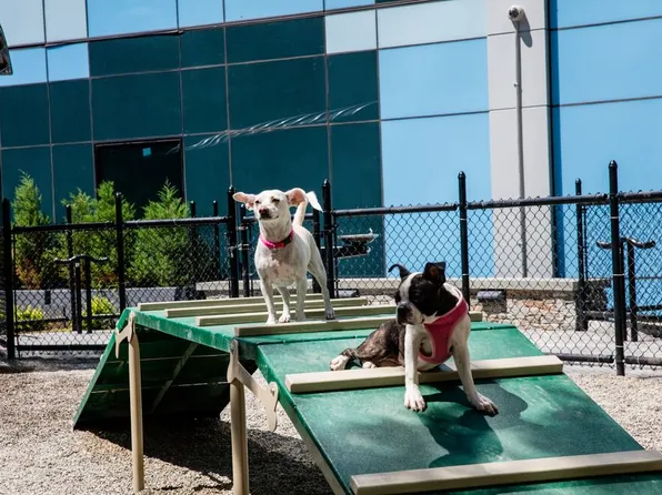 100 Willoughby Street image 41 of 43