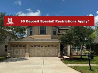 20146 Oakflower Ave, Tampa, FL 33647