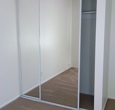 Mirrored Closet Doors