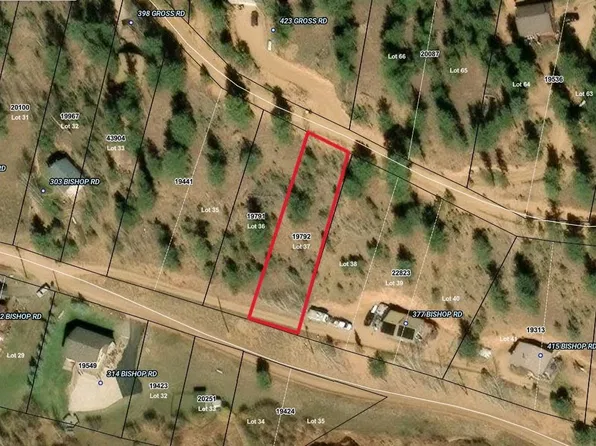 357 Bishop Road, Bailey, CO 80421