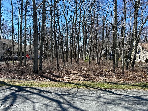 3rd image of 145 Maple Ridge Dr