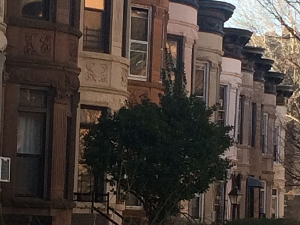2nd image of Prospect Lefferts Gdns #16