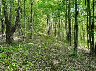 567 Little Village Rd, Pawlet, VT 05761