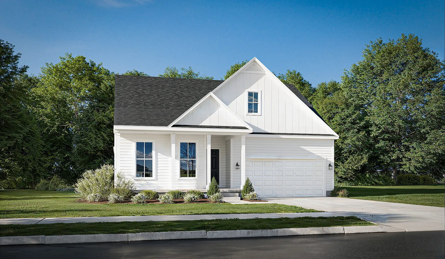 Charleston Plan, Jerome Village Aster photo 1