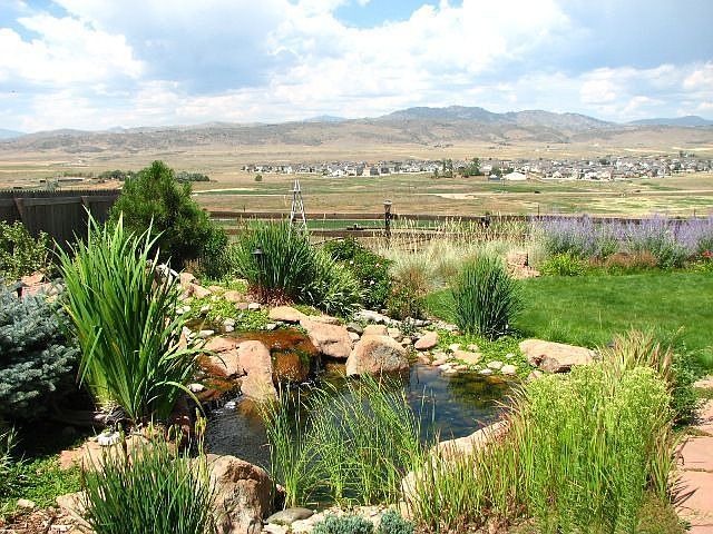 Koi Pond