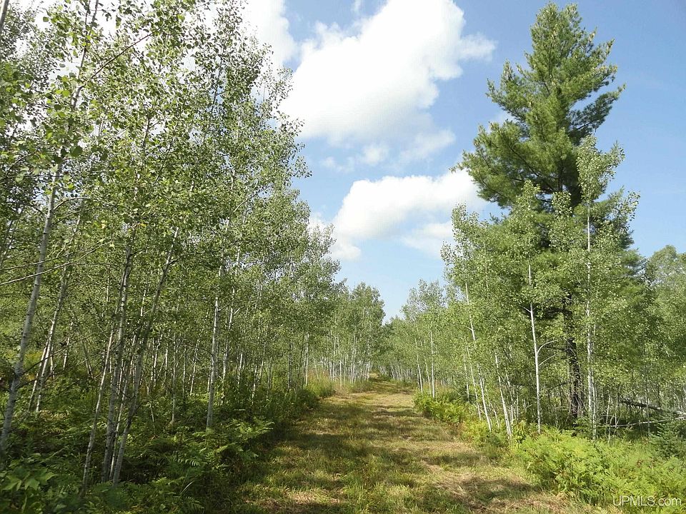 Goldberg, Ewen, MI 49925 Zillow