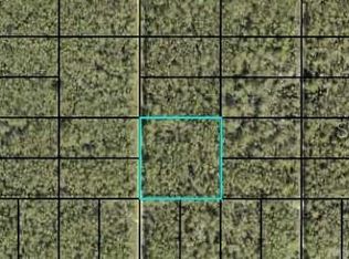 0 Dillon Ave #181, Hastings, FL 32145