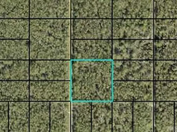 0 Dillon Ave #181, Hastings, FL 32145