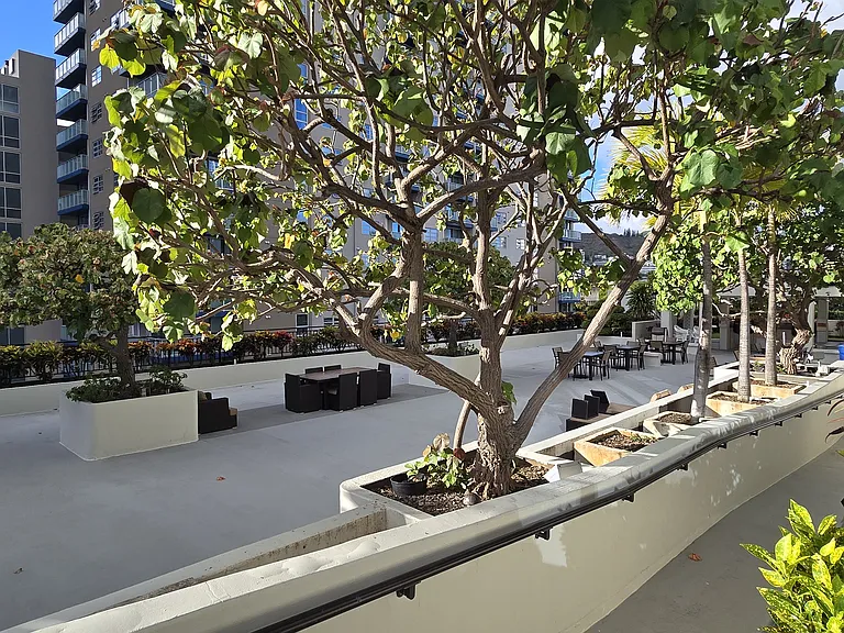 large outdoor lounge and bbq area