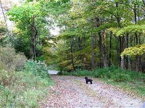 2nd image of 149 Revonah Hill Rd